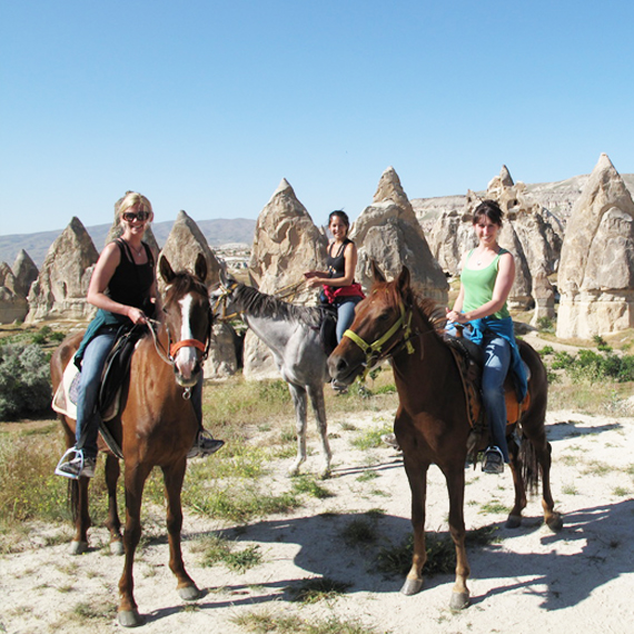 Horse Tours